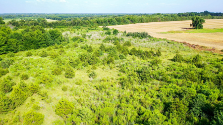 45 Acres of Recreational & Hunting Land For Sale Paris TX, NE TX - image 17