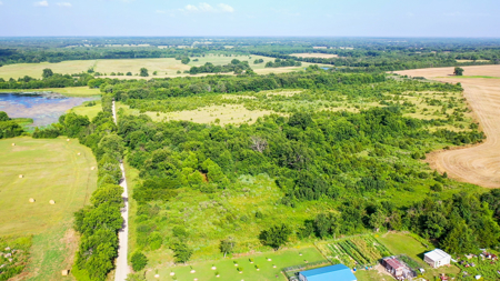 45 Acres of Recreational & Hunting Land For Sale Paris TX, NE TX - image 12