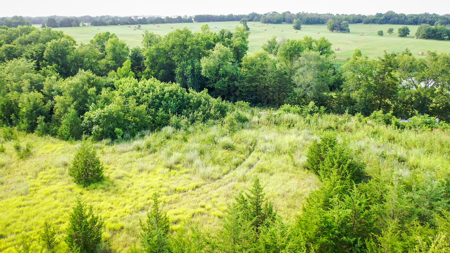 45 Acres of Recreational & Hunting Land For Sale Paris TX, NE TX - image 33