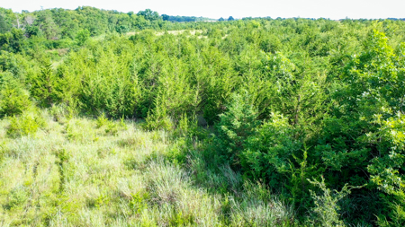 45 Acres of Recreational & Hunting Land For Sale Paris TX, NE TX - image 22