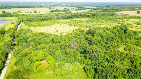 45 Acres of Recreational & Hunting Land For Sale Paris TX, NE TX - image 13