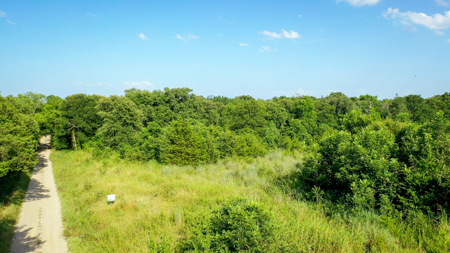 45 Acres of Recreational & Hunting Land For Sale Paris TX, NE TX - image 36