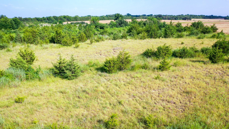 45 Acres of Recreational & Hunting Land For Sale Paris TX, NE TX - image 16