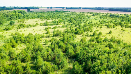 45 Acres of Recreational & Hunting Land For Sale Paris TX, NE TX - image 23