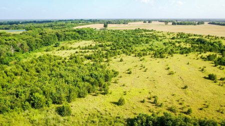 45 Acres of Recreational & Hunting Land For Sale Paris TX, NE TX - image 34