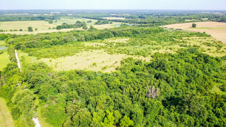 45 Acres of Recreational & Hunting Land For Sale Paris TX, NE TX - image 11
