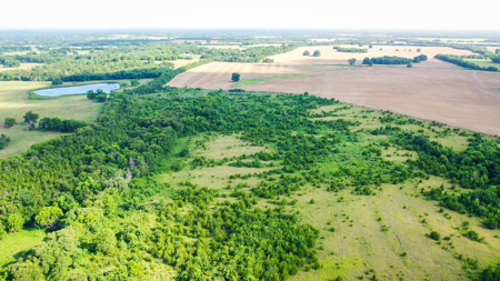 45 Acres of Recreational & Hunting Land For Sale Paris TX, NE TX - image 25