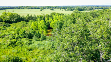 45 Acres of Recreational & Hunting Land For Sale Paris TX, NE TX - image 19