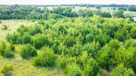 45 Acres of Recreational & Hunting Land For Sale Paris TX, NE TX - image 31