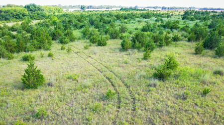 45 Acres of Recreational & Hunting Land For Sale Paris TX, NE TX - image 29