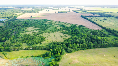 45 Acres of Recreational & Hunting Land For Sale Paris TX, NE TX - image 26