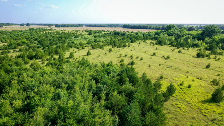 45 Acres of Recreational & Hunting Land For Sale Paris TX, NE TX - image 39