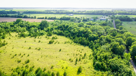 45 Acres of Recreational & Hunting Land For Sale Paris TX, NE TX - image 24
