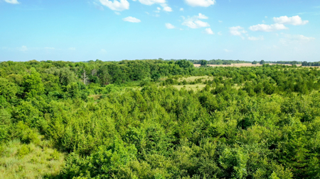 45 Acres of Recreational & Hunting Land For Sale Paris TX, NE TX - image 37
