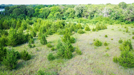 45 Acres of Recreational & Hunting Land For Sale Paris TX, NE TX - image 30