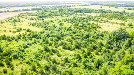 45 Acres of Recreational & Hunting Land For Sale Paris TX, NE TX - image 7