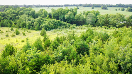 45 Acres of Recreational & Hunting Land For Sale Paris TX, NE TX - image 32
