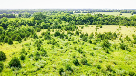 45 Acres of Recreational & Hunting Land For Sale Paris TX, NE TX - image 9