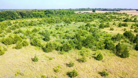 45 Acres of Recreational & Hunting Land For Sale Paris TX, NE TX - image 14
