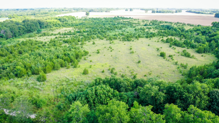45 Acres of Recreational & Hunting Land For Sale Paris TX, NE TX - image 27