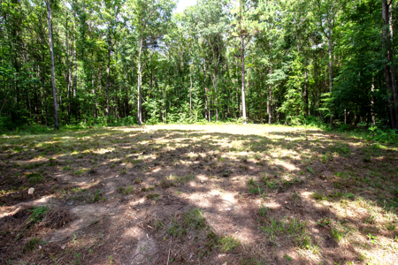 East Texas Land for Sale – ±7 Acres for Homesite or Hunting - image 6