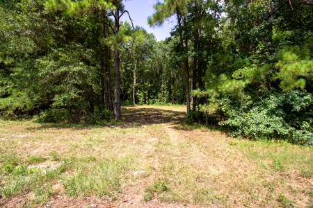 East Texas Land for Sale – ±7 Acres for Homesite or Hunting - image 10