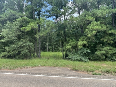 East Texas Land for Sale – ±7 Acres for Homesite or Hunting - image 2