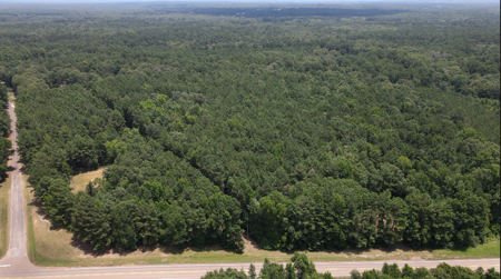 East Texas Land for Sale – ±7 Acres for Homesite or Hunting - image 19