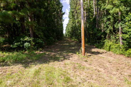 East Texas Land for Sale – ±7 Acres for Homesite or Hunting - image 7
