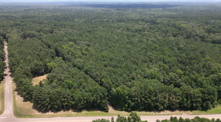 East Texas Land for Sale – ±7 Acres for Homesite or Hunting - image 21