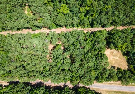 East Texas Land for Sale – ±7 Acres for Homesite or Hunting - image 17