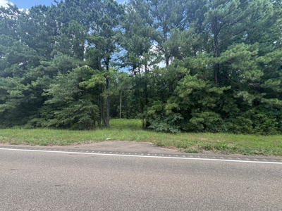 East Texas Land for Sale – ±7 Acres for Homesite or Hunting - image 4