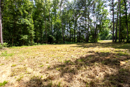 East Texas Land for Sale – ±7 Acres for Homesite or Hunting - image 8