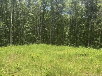 East Texas Land for Sale – ±7 Acres for Homesite or Hunting - image 5