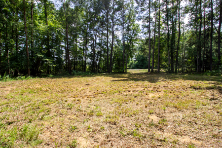 East Texas Land for Sale – ±7 Acres for Homesite or Hunting - image 9