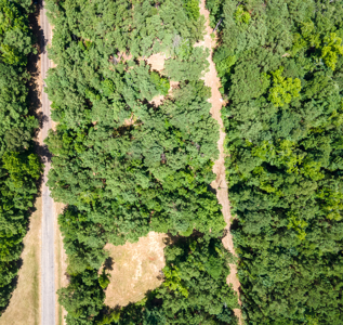East Texas Land for Sale – ±7 Acres for Homesite or Hunting - image 18