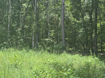 East Texas Land for Sale – ±7 Acres for Homesite or Hunting - image 3