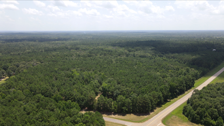 East Texas Land for Sale – ±7 Acres for Homesite or Hunting - image 20