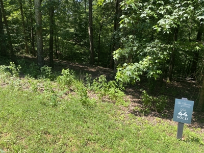 Lot To Build On In Gated Subdivision Near Fishing And Golfing - image 20