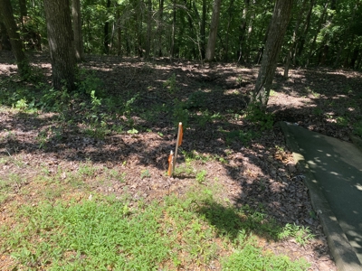 Lot To Build On In Gated Subdivision Near Fishing And Golfing - image 11