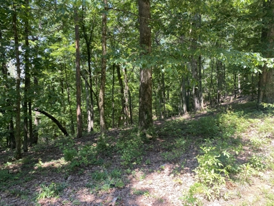 Lot To Build On In Gated Subdivision Near Fishing And Golfing - image 17