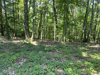 Lot To Build On In Gated Subdivision Near Fishing And Golfing - image 10