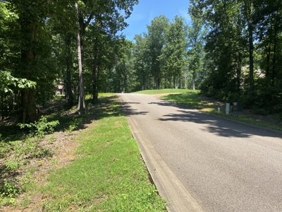 Lot To Build On In Gated Subdivision Near Fishing And Golfing - image 8