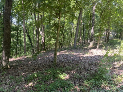 Lot To Build On In Gated Subdivision Near Fishing And Golfing - image 12