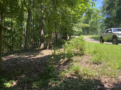 Lot To Build On In Gated Subdivision Near Fishing And Golfing - image 18