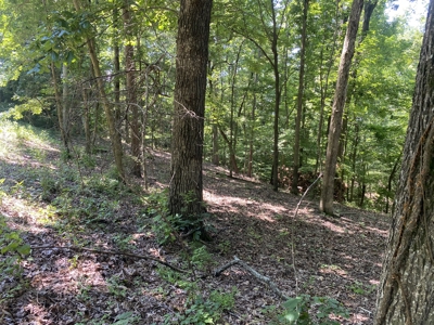 Lot To Build On In Gated Subdivision Near Fishing And Golfing - image 13