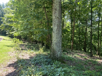 Lot To Build On In Gated Subdivision Near Fishing And Golfing - image 14