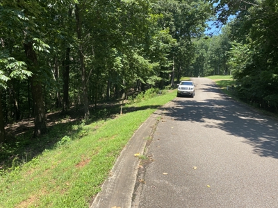 Lot To Build On In Gated Subdivision Near Fishing And Golfing - image 9