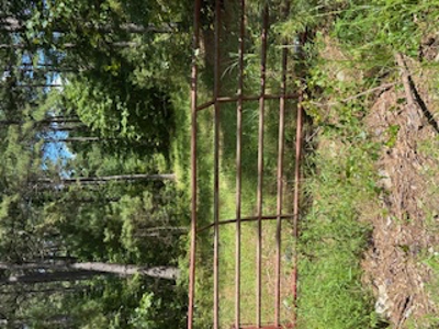 Acreage Near Harleton Texas Ideal for Hunting and Recreation. - image 2
