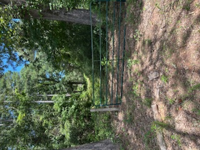 Acreage Near Harleton Texas Ideal for Hunting and Recreation. - image 1